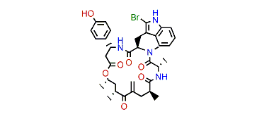 Jasplakinolide B